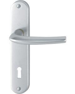 SAN DIEGO GARNITURE SUR PLAQUE CLE L FINITION ARGENT - ENTRAXE 165mm