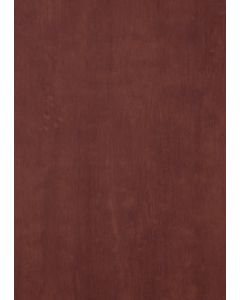 STRAT COMPACT MAX EXTERIOR 8MM 280x185