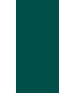 Plan de travail Stratifié EGGER U660 ST9 - Vert amazone 305x131 cm Ep.0,8mm