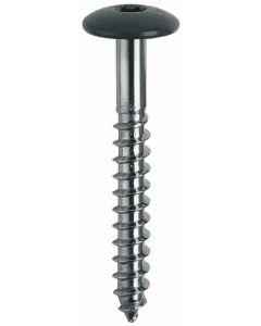 VIS LAQUEE TWS D12 4,8x38 BTE 250 BOIS - 0601 POIRE SOLEI