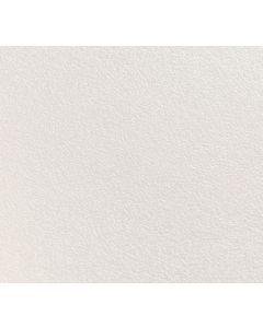 Panneau de particules mélaminé UNILIN Evola-Belspan Pearl (TST) 00025 Blanc - 3,05x1,25 m ep.12 mm
