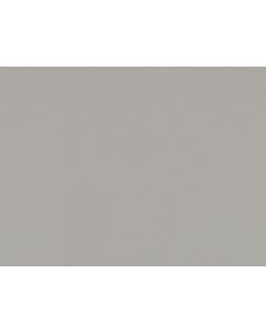 Bande de chant EGGER F765 ST20 - Gris argent brossé 75x23mm Ep.0,8mm